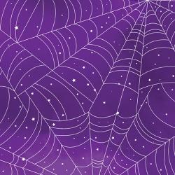 in a web purple