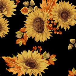 autumn sunflower black