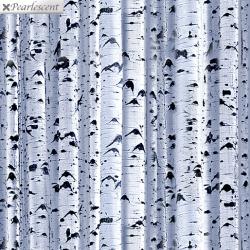 winter birch silver grey