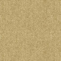 camel wool