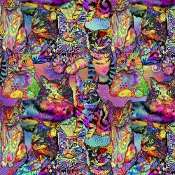 An electric cat collage. 